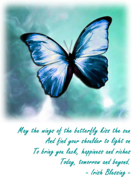butterfly poem